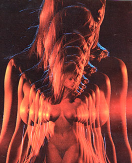 DonnaSummer.jpg