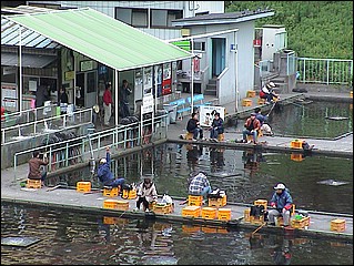 tntokyo2002_036