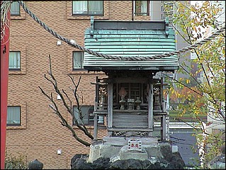 tntokyo2002_060.JPG