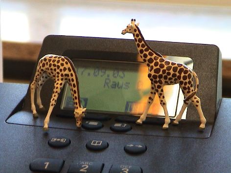 Braans Zoo